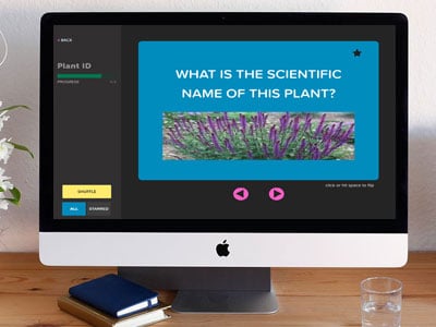 A screen of Flashcards mode of Jeopardy game showing flashcards of a plant image is displayed with the question "What is the scientific name of this plant?".