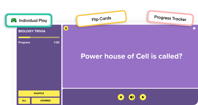 Factile flashcards mode for practicing questions and answers with flip-through interface